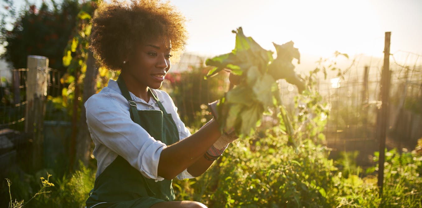 why medical medical doctors are prescribing gardening comparatively than medication