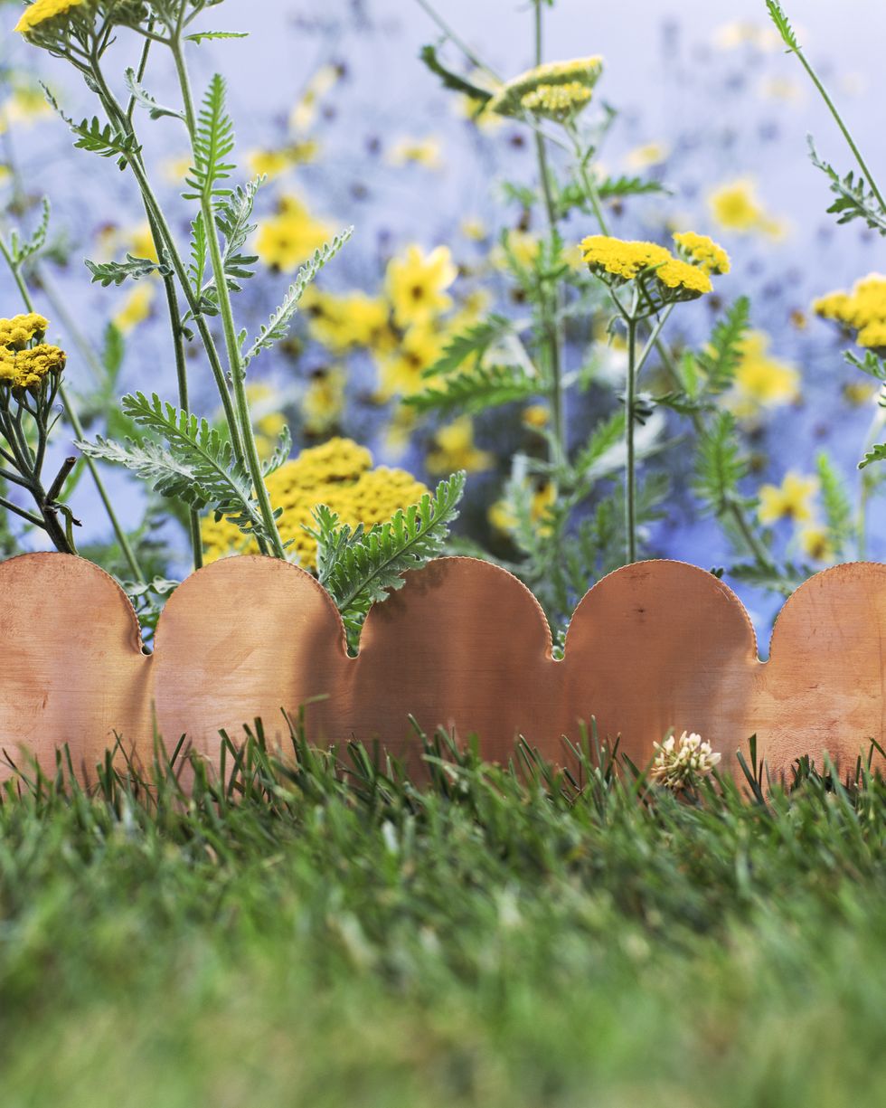 scalloped terra cotta garden edging